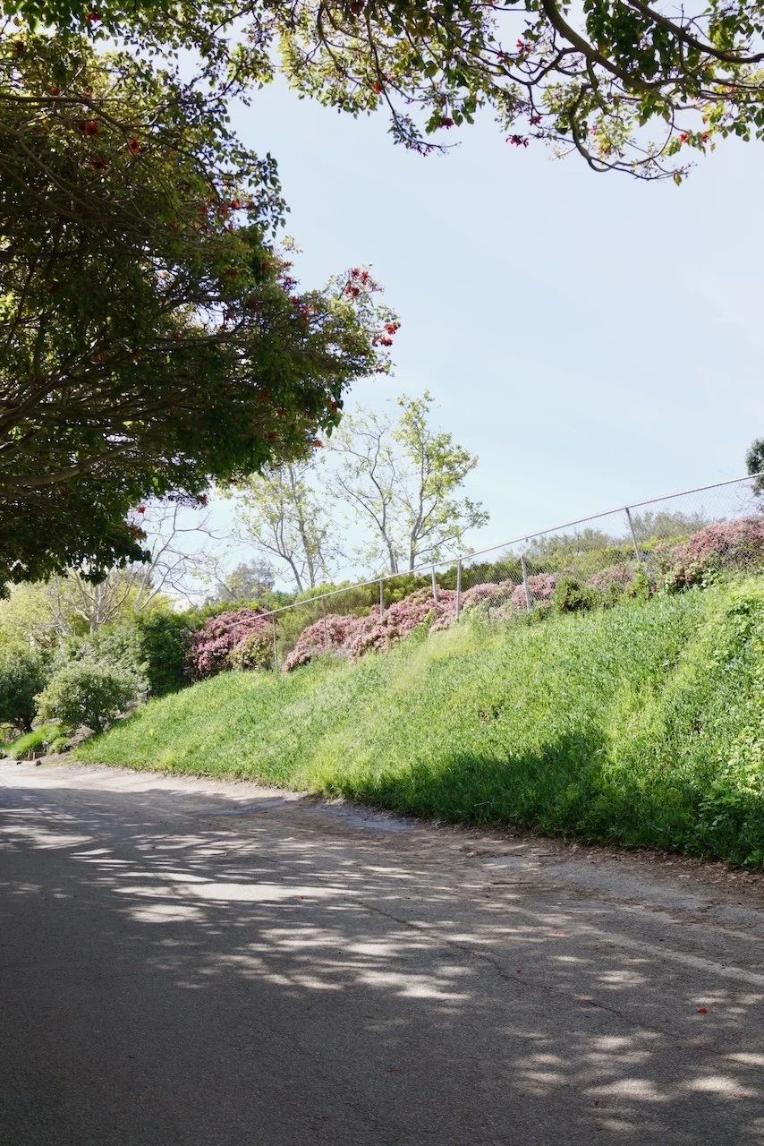  Spaces 2024:83 (2024) C-print on wood panel, 60"x40" 