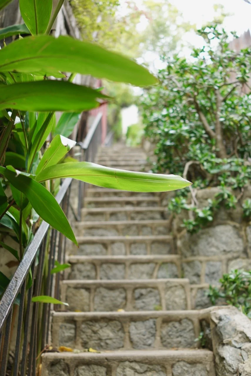  Spaces 2024:84 (2024) C-print on wood panel, 60"x40" 