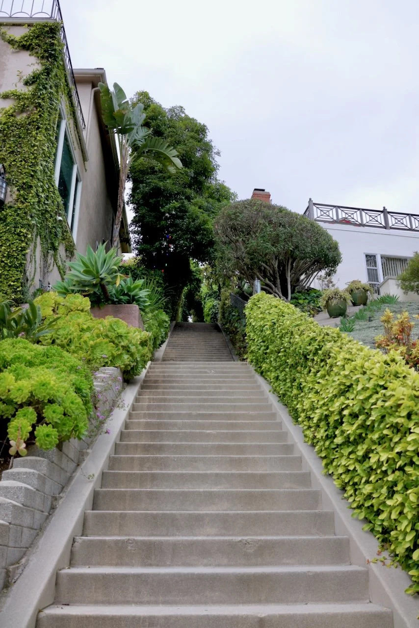  Spaces 2024:88 (2024) C-print on wood panel, 60"x40" 