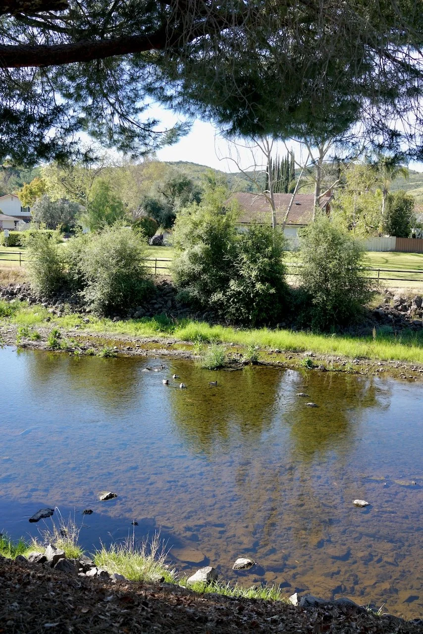  Spaces 2024:90 (2024) C-print on wood panel, 60"x40" 