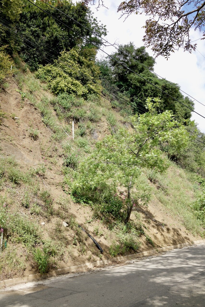  Spaces 2024:92 (2024) C-print on wood panel, 60"x40" 