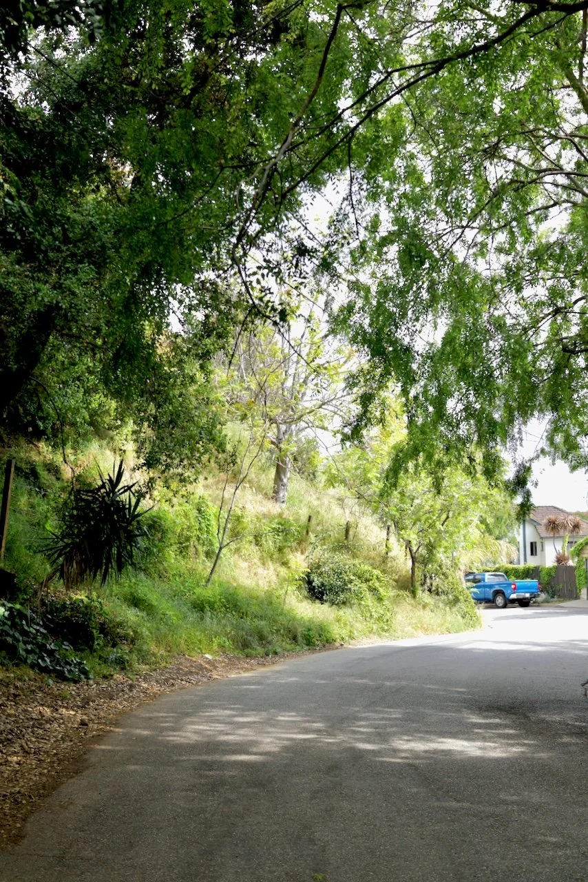  Spaces 2024:94 (2024) C-print on wood panel, 60"x40" 