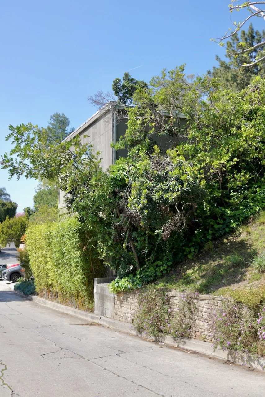  Spaces 2024:97 (2024) C-print on wood panel, 60"x40" 