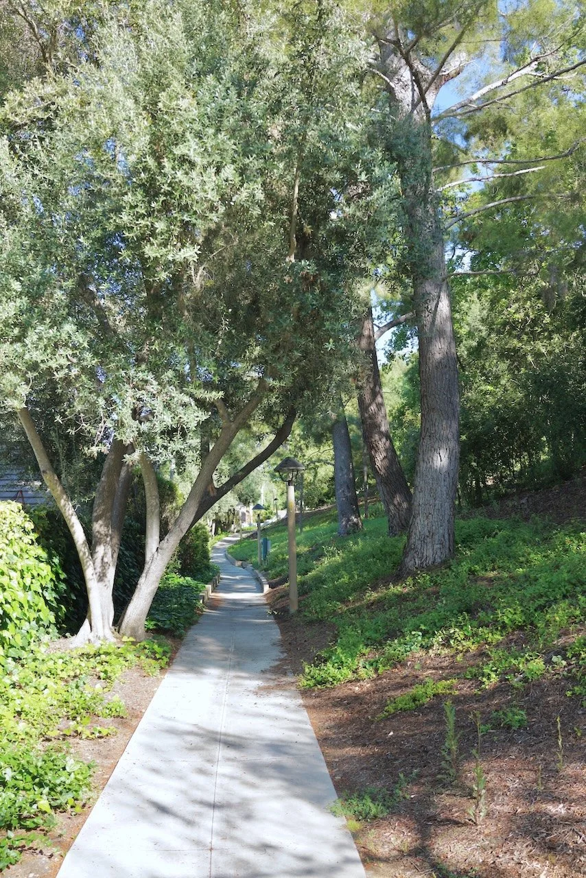  Spaces 2024:100 (2024) C-print on wood panel, 60"x40" 