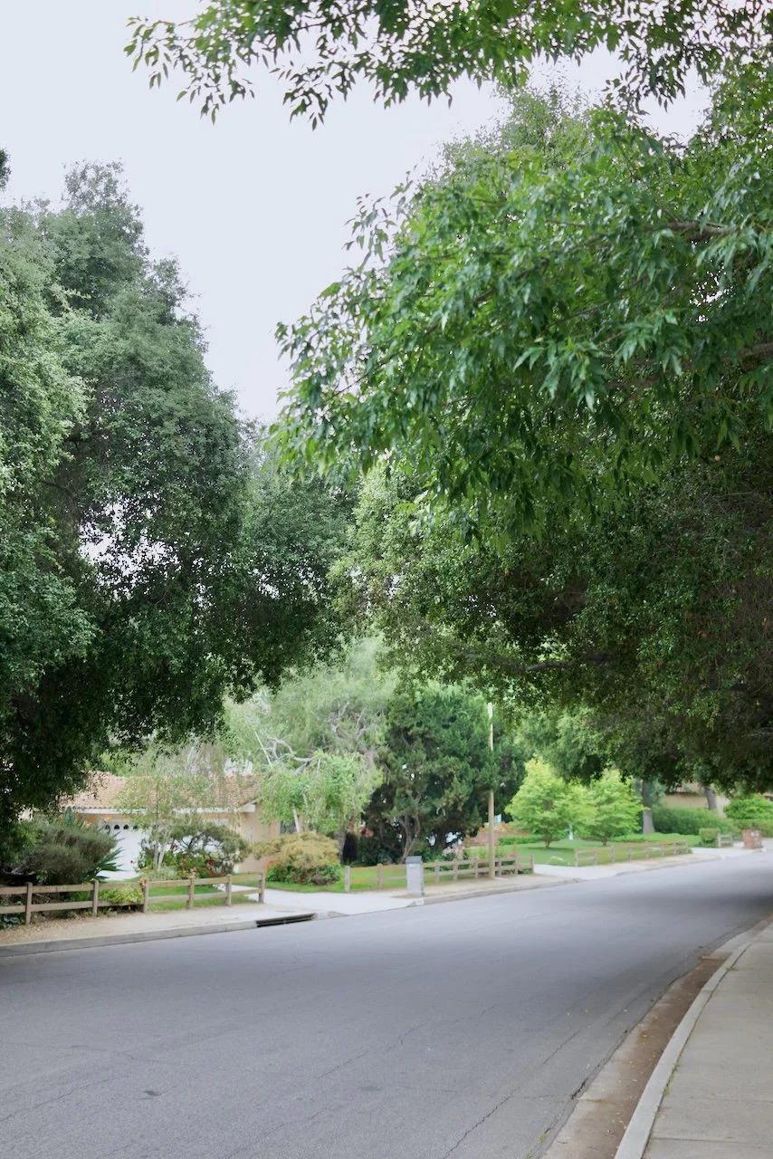  Spaces 2024:101 (2024) C-print on wood panel, 60"x40" 