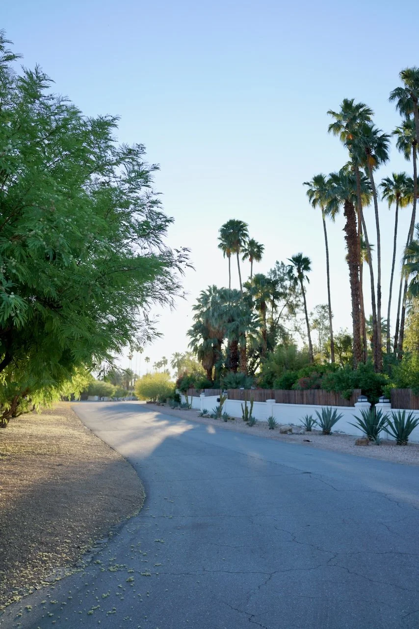  Spaces 2024:103 (2024) C-print on wood panel, 60"x40" 