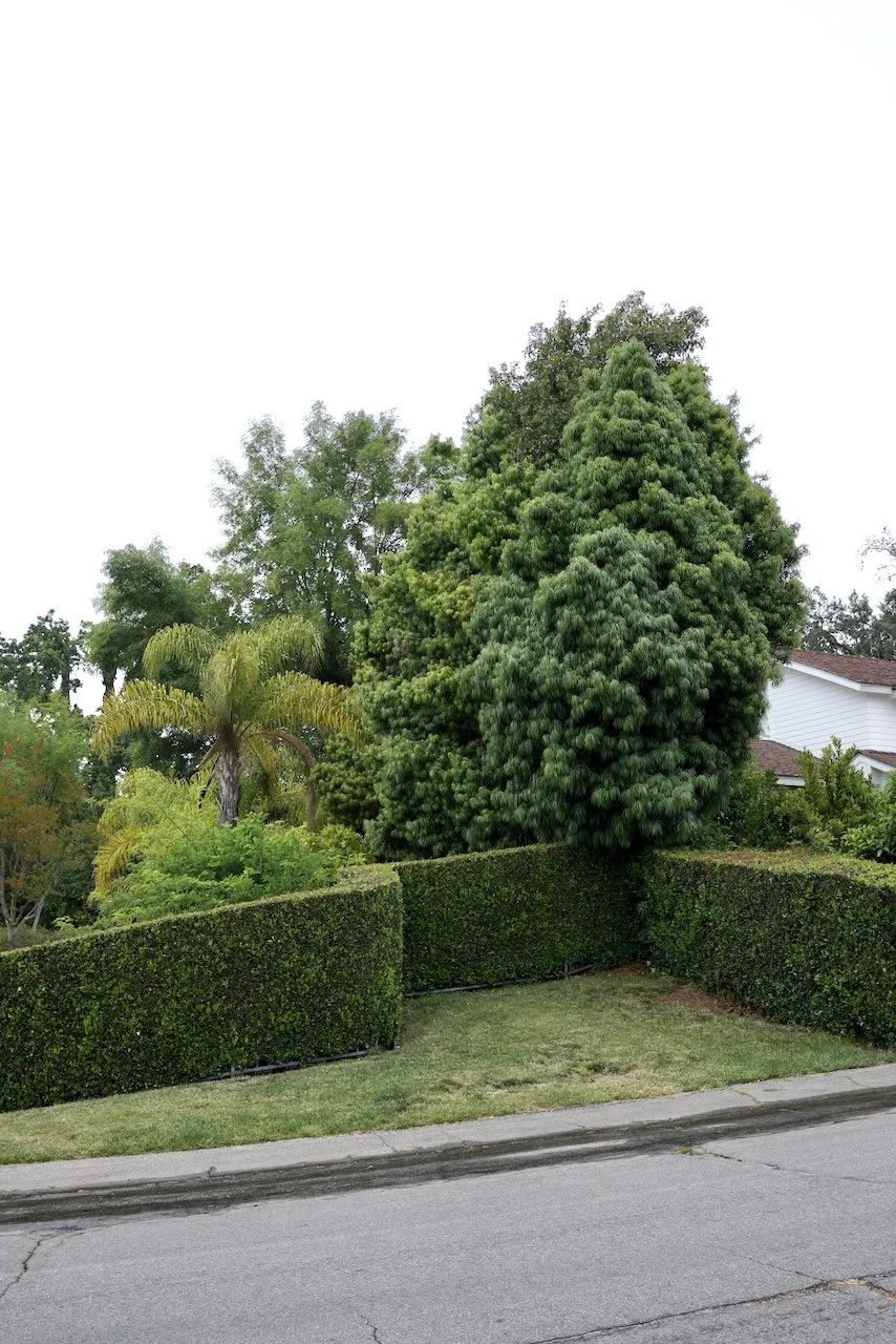  Spaces 2024:114 (2024) C-print on wood panel, 60"x40" 