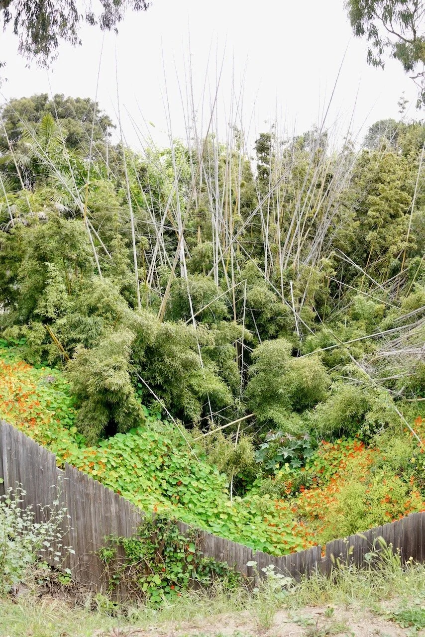  Spaces 2024:119 (2024) C-print on wood panel, 60"x40" 