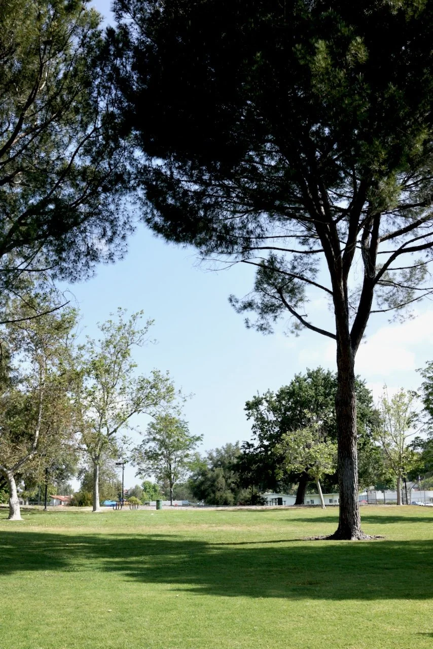  Spaces 2024:120 (2024) C-print on wood panel, 60"x40" 