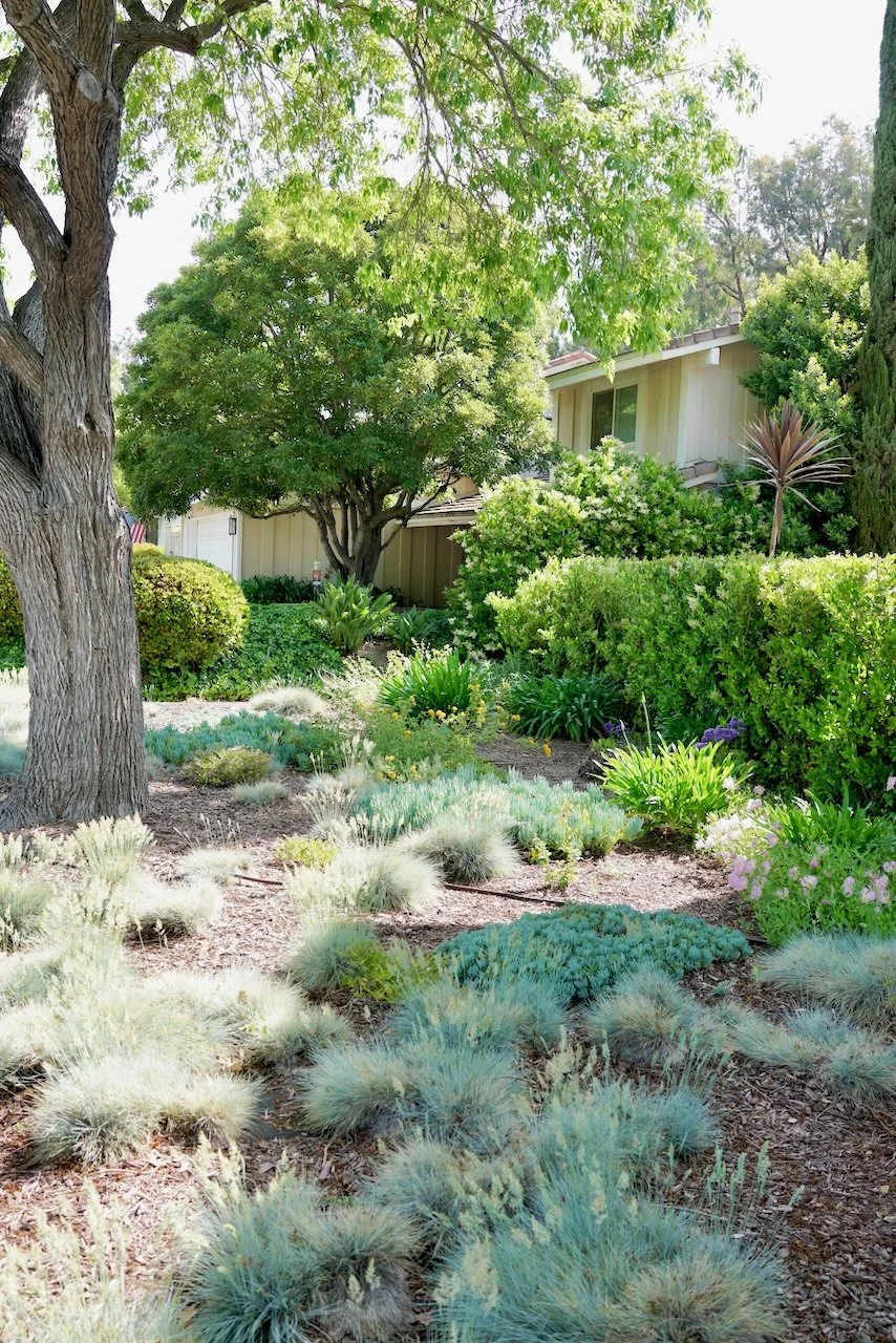  Spaces 2024:121 (2024) C-print on wood panel, 60"x40" 