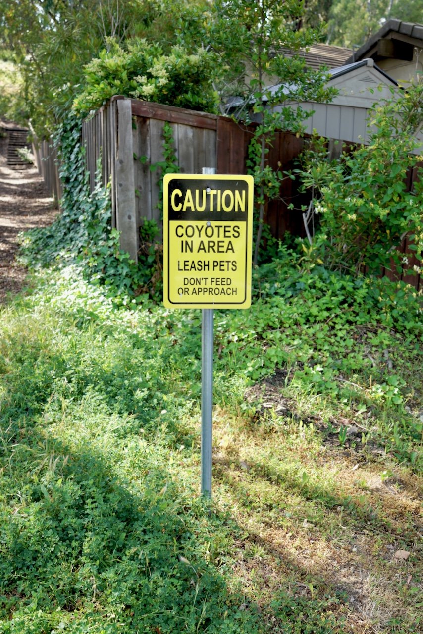  Spaces 2024:122 (2024) C-print on wood panel, 60"x40" 