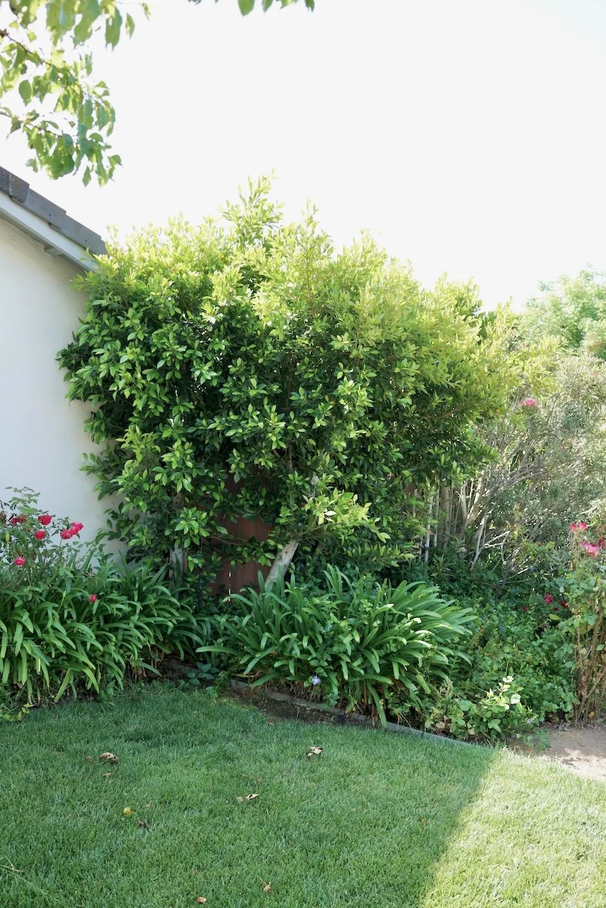  Spaces 2024:123 (2024) C-print on wood panel, 60"x40" 