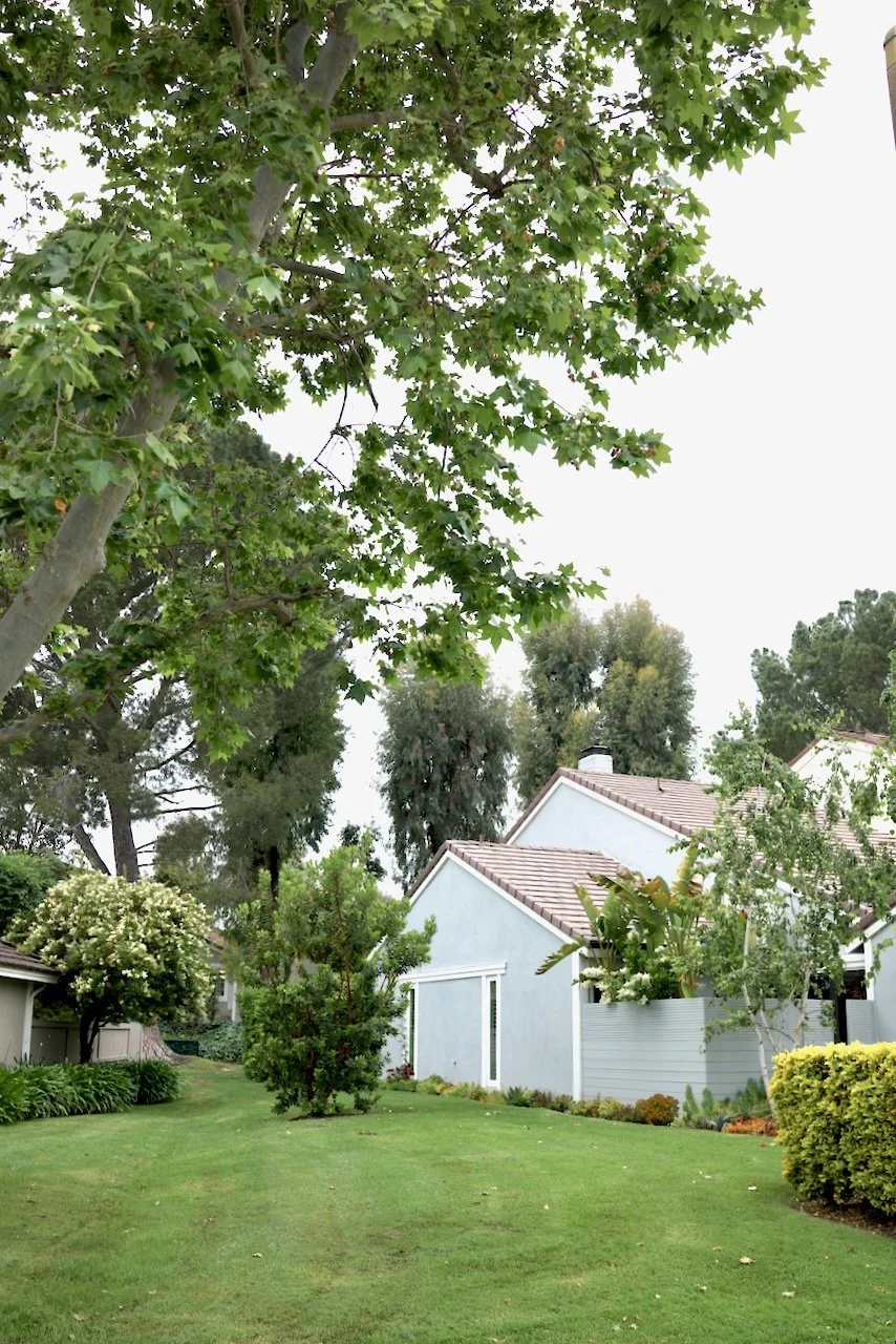  Spaces 2024:124 (2024) C-print on wood panel, 60"x40" 