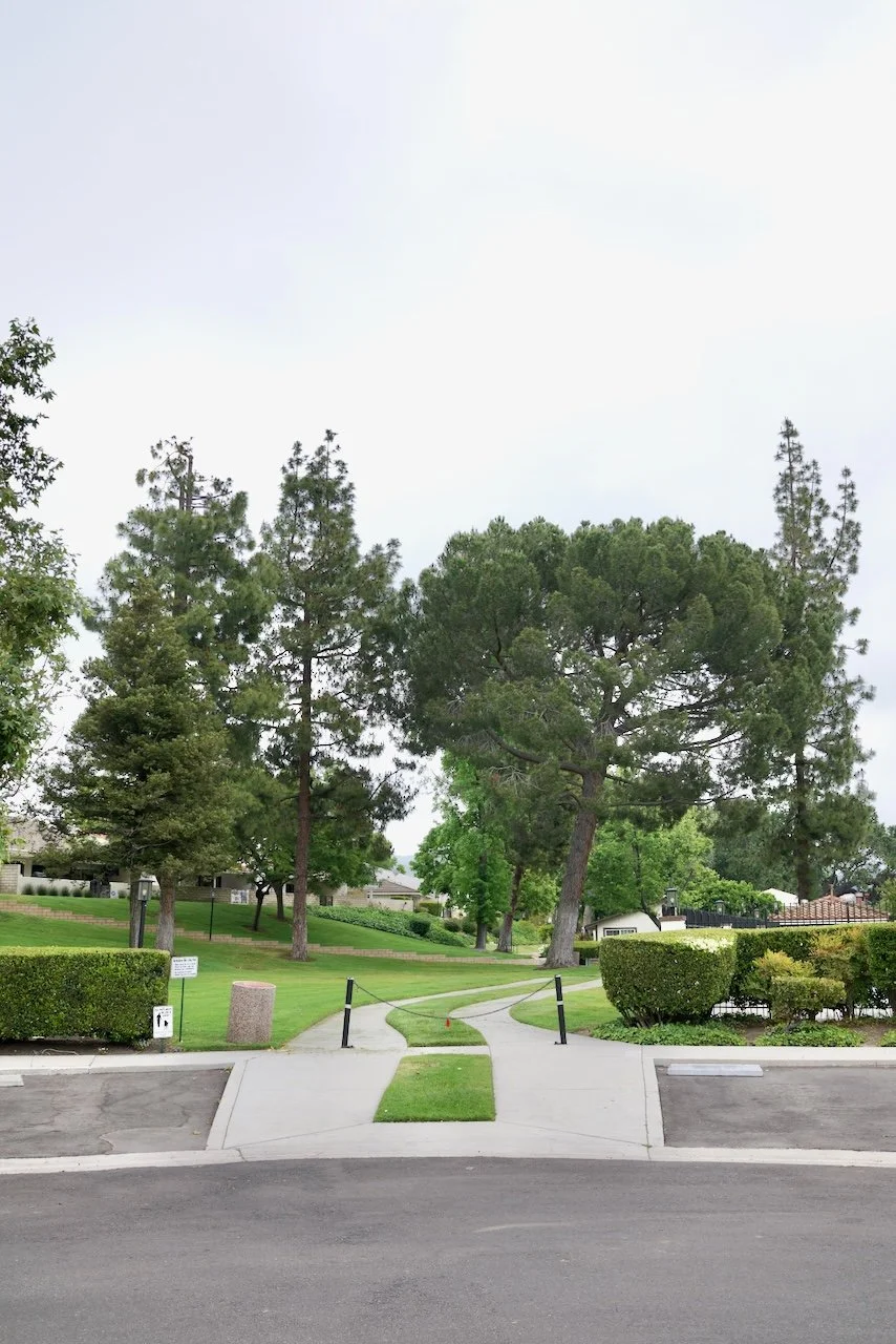  Spaces 2024:126 (2024) C-print on wood panel, 60"x40" 