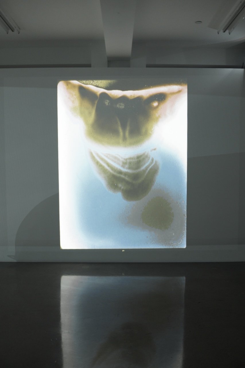  Spaces 2024:133 (2024) C-print on wood panel, 60"x40" 