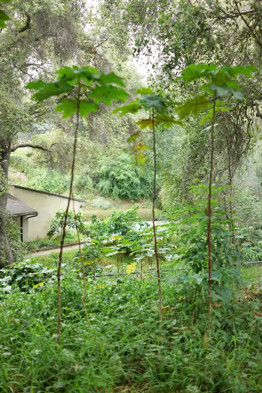  Spaces 2024:135 (2024) C-print on wood panel, 60"x40" 