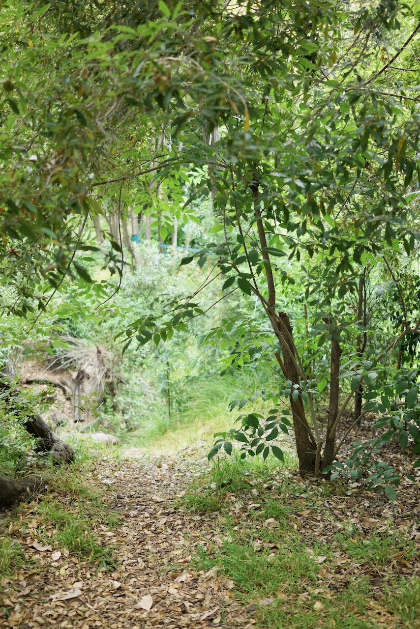  Spaces 2024:138 (2024) C-print on wood panel, 60"x40" 