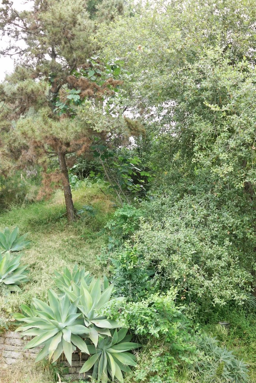  Spaces 2024:139 (2024) C-print on wood panel, 60"x40" 