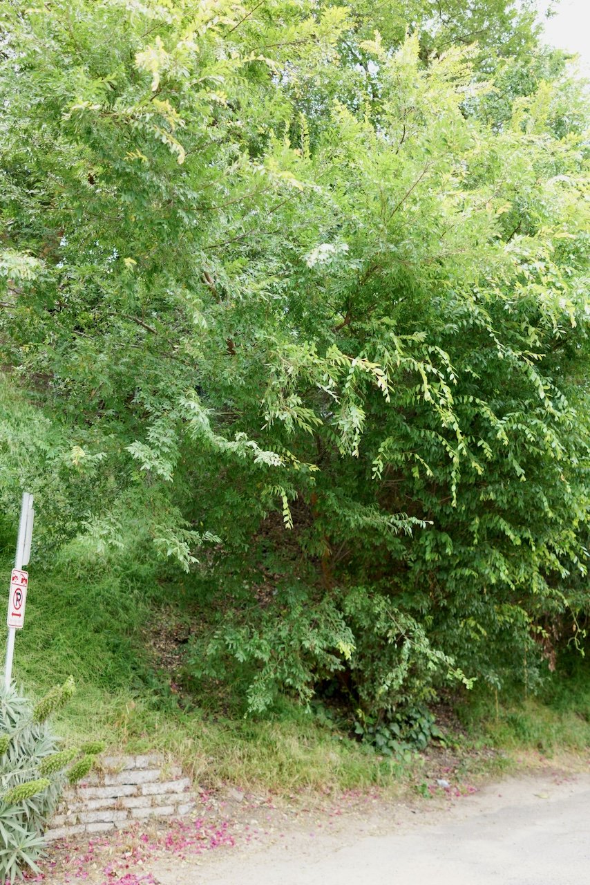  Spaces 2024:140 (2024) C-print on wood panel, 60"x40" 