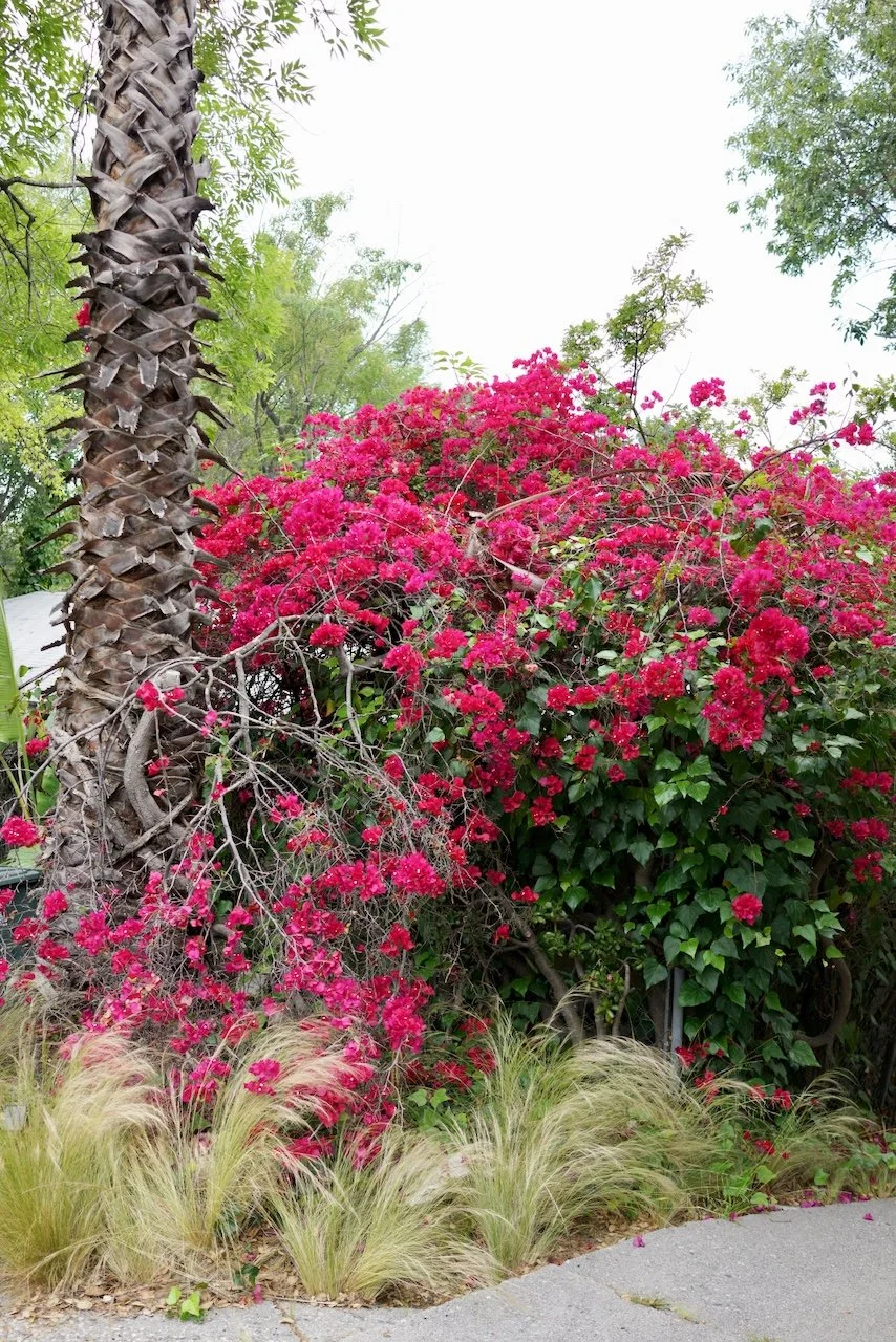  Spaces 2024:141 (2024) C-print on wood panel, 60"x40" 