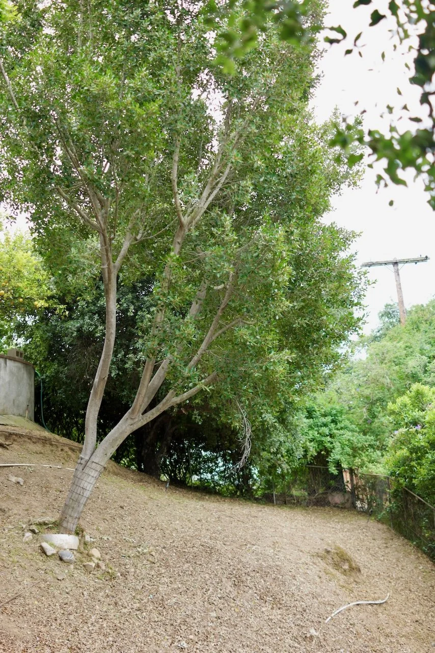  Spaces 2024:143 (2024) C-print on wood panel, 60"x40" 