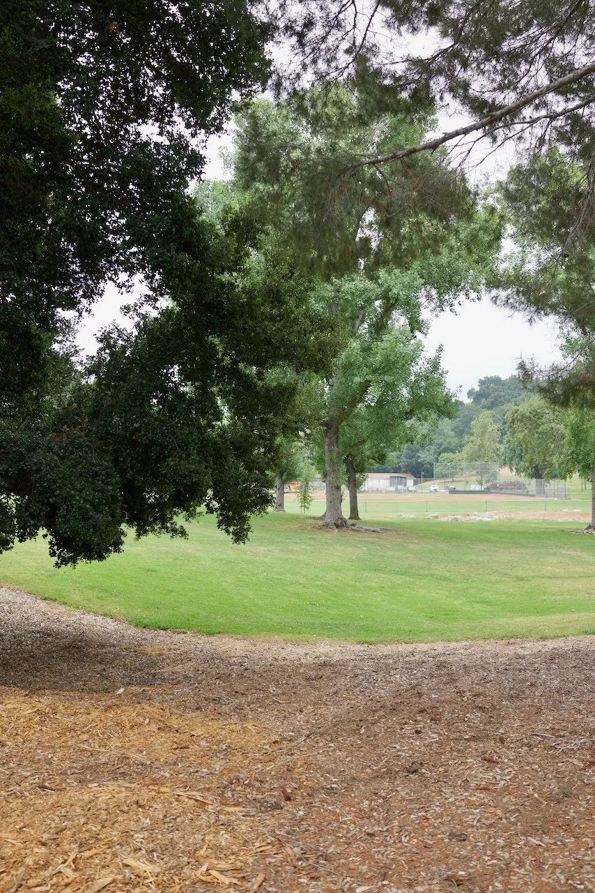  Spaces 2024:145 (2024) C-print on wood panel, 60"x40" 