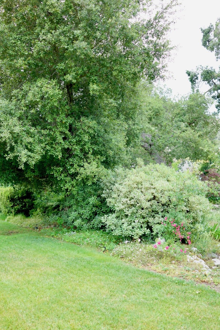  Spaces 2024:151 (2024) C-print on wood panel, 60"x40" 