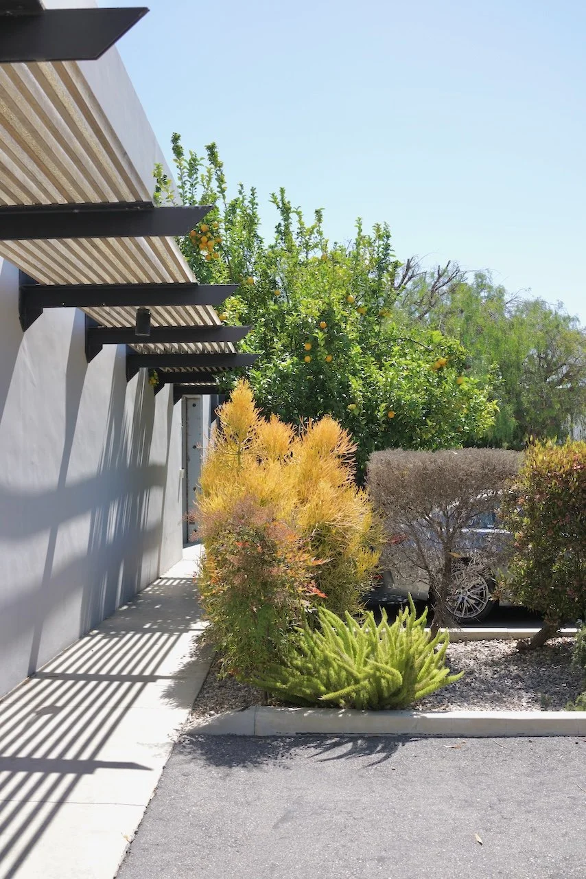  Spaces 2024:171 (2024) C-print on wood panel, 60"x40" 