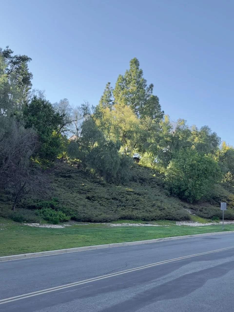  Spaces 2024:70 (2024) C-print on wood panel, 60"x40" 