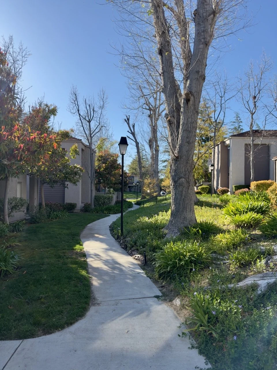  Spaces 2024:71 (2024) C-print on wood panel, 60"x40" 