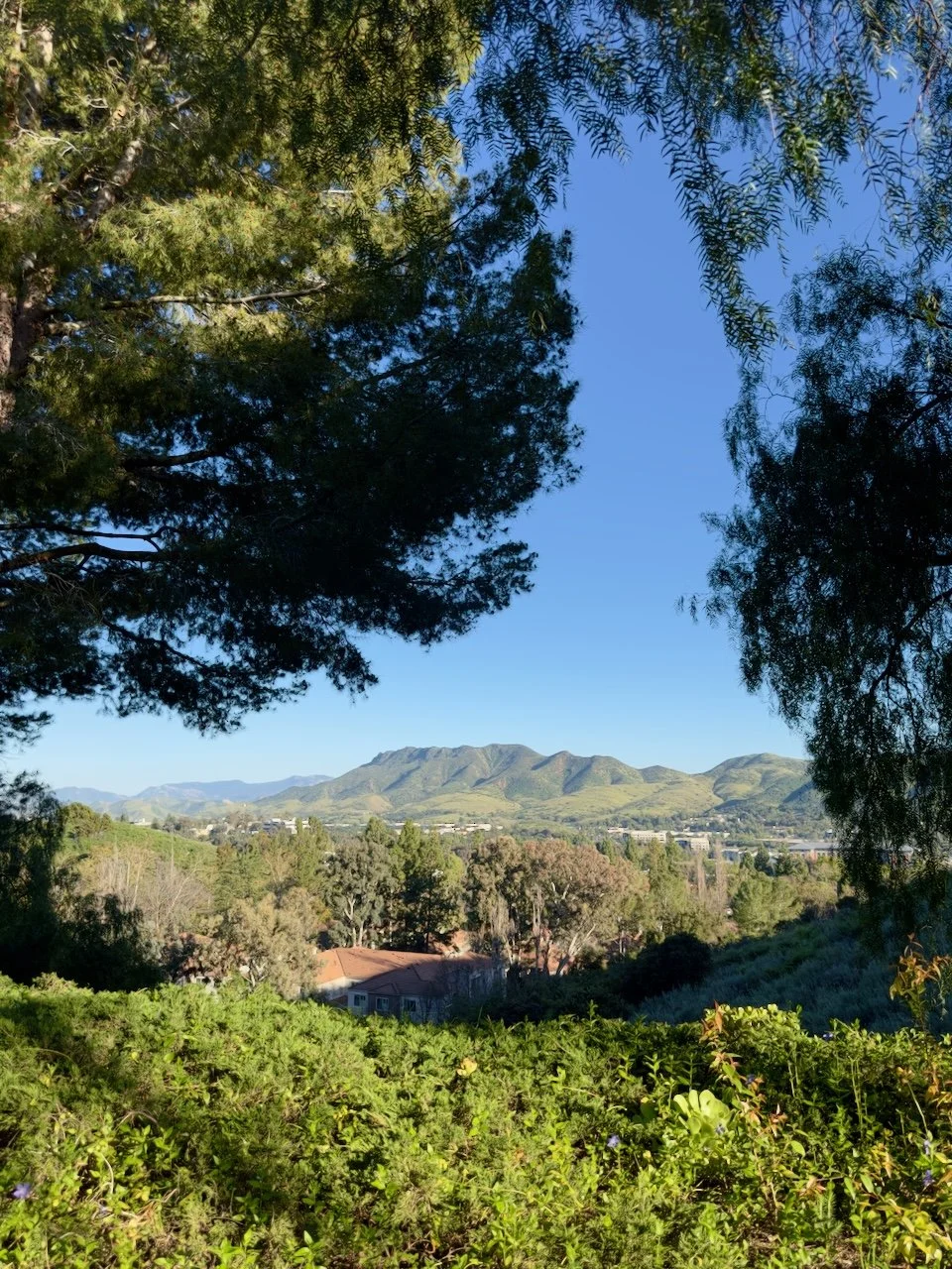  Spaces 2024:72 (2024) C-print on wood panel, 60"x40" 