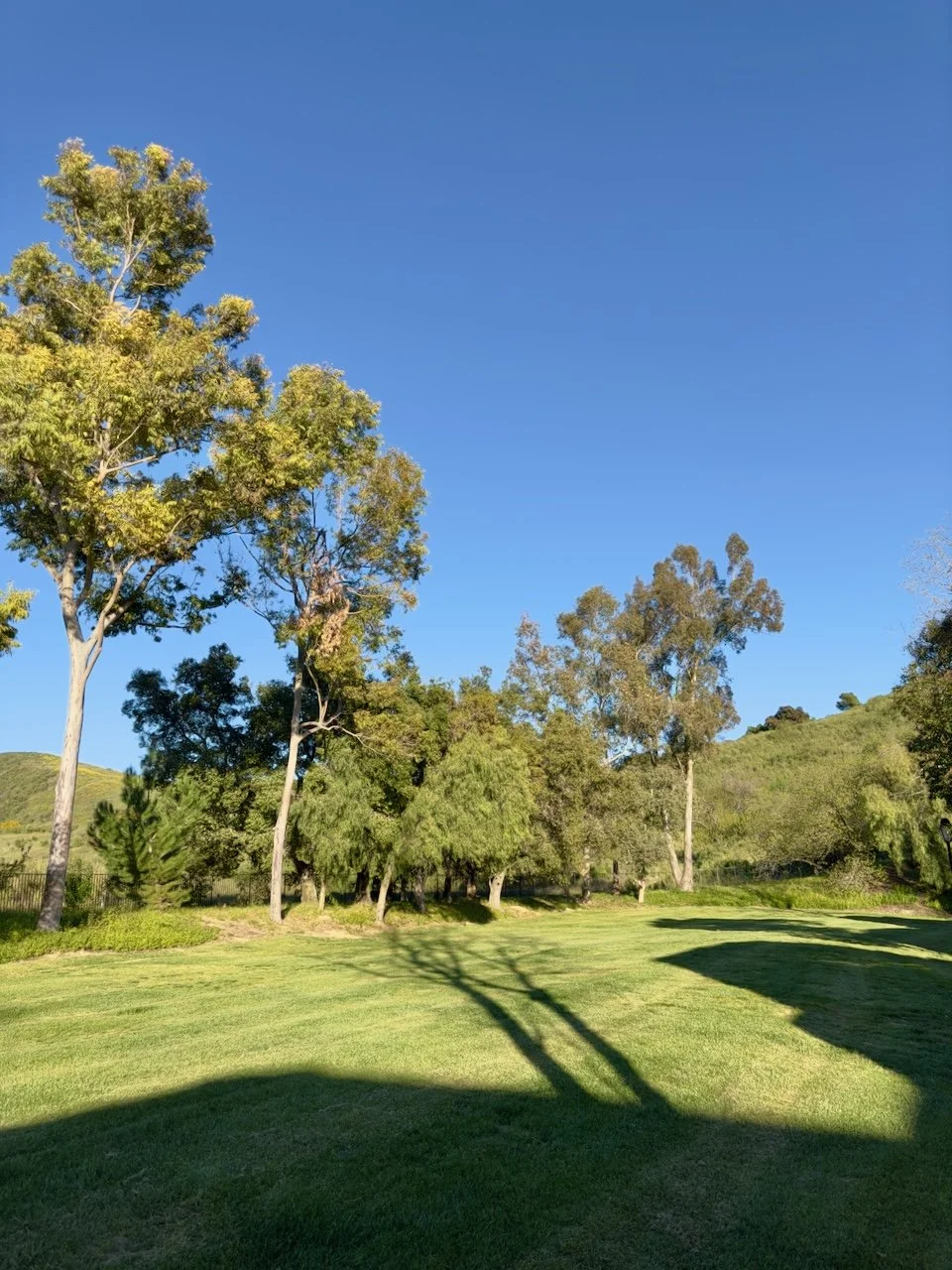  Spaces 2024:73 (2024) C-print on wood panel, 60"x40" 