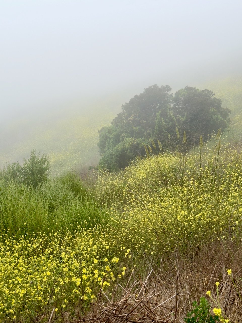  Spaces 2024:153 (2024) C-print on wood panel, 60"x40" 