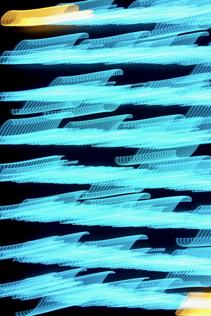  Movement 2024:217 (2024) C-print on wood panel, 60"x40" 