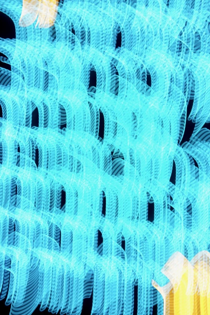  Movement 2024:220 (2024) C-print on wood panel, 60"x40" 