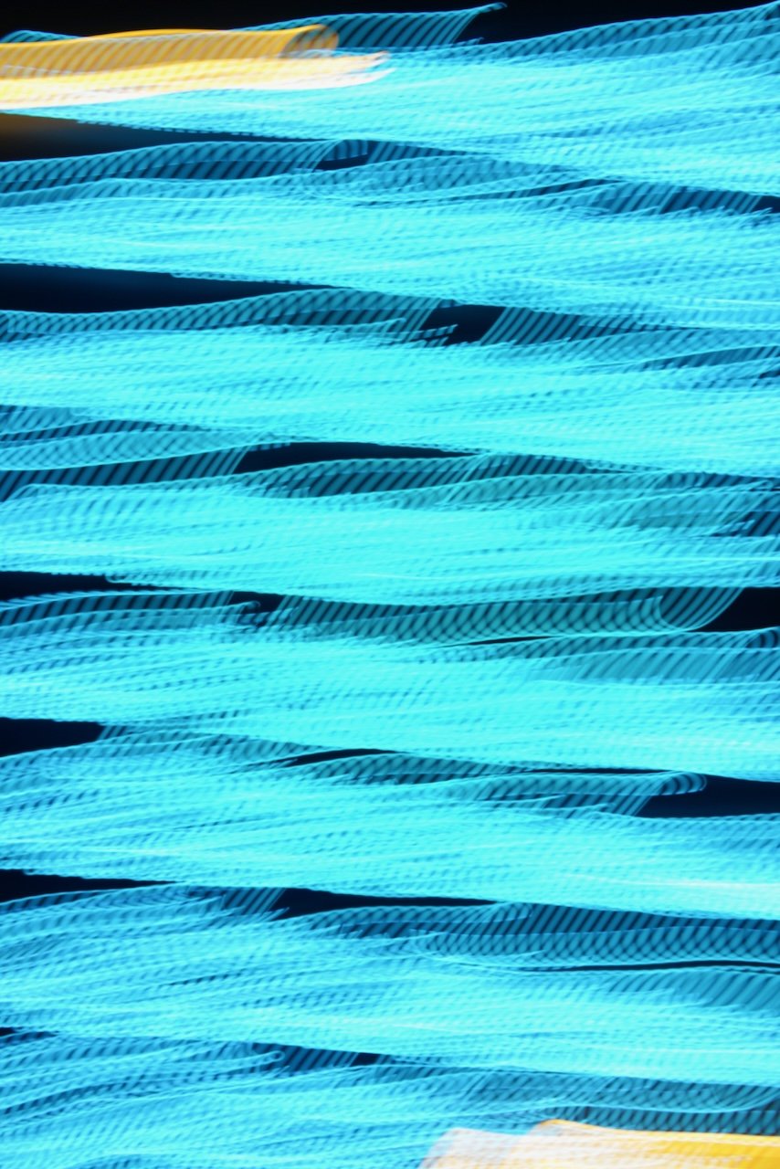  Movement 2024:221 (2024) C-print on wood panel, 60"x40" 