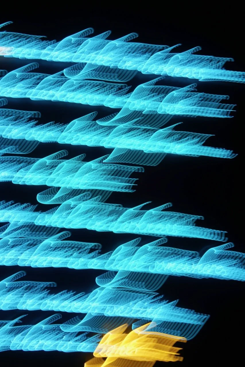  Movement 2024:223 (2024) C-print on wood panel, 60"x40" 