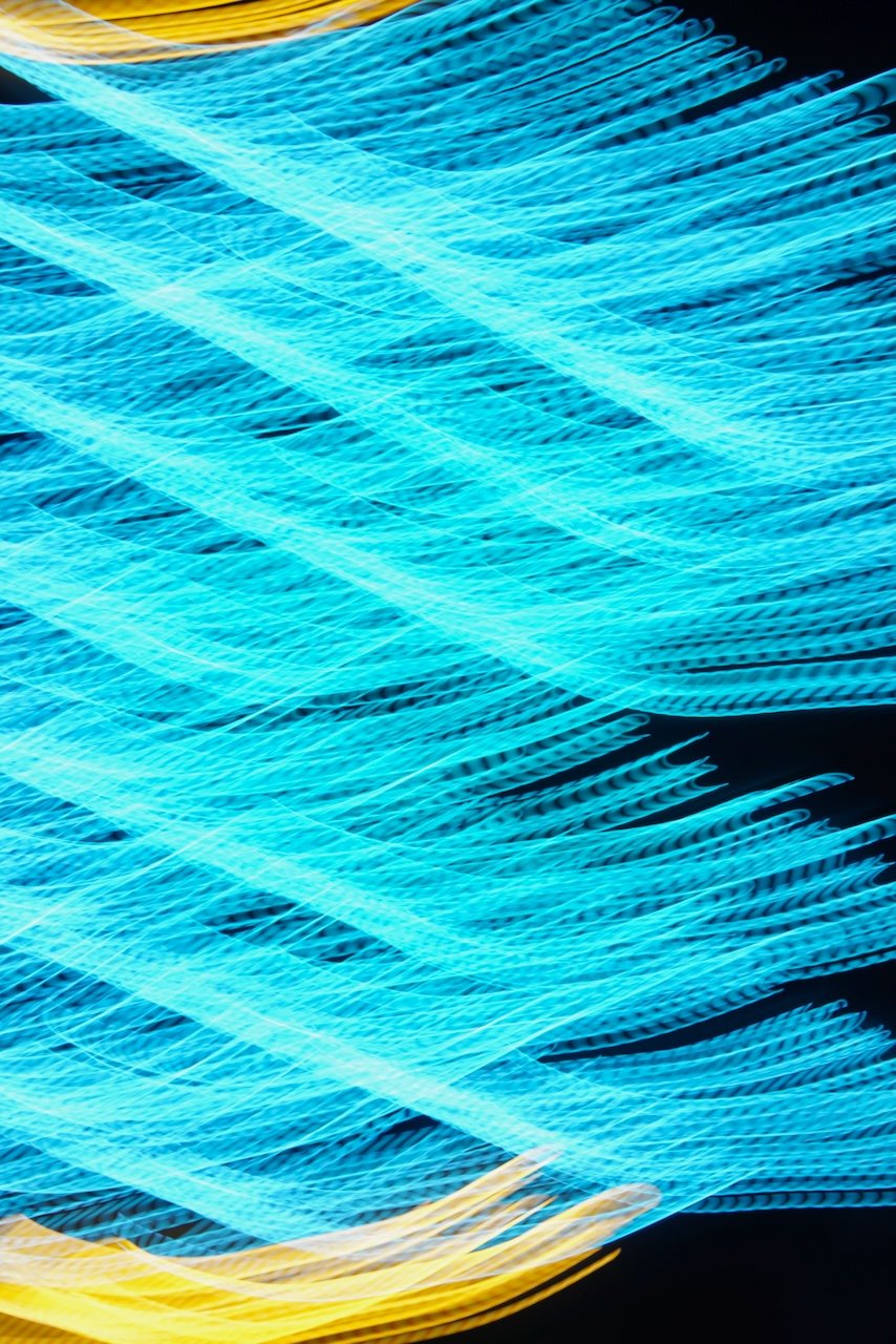  Movement 2024:226 (2024) C-print on wood panel, 60"x40" 