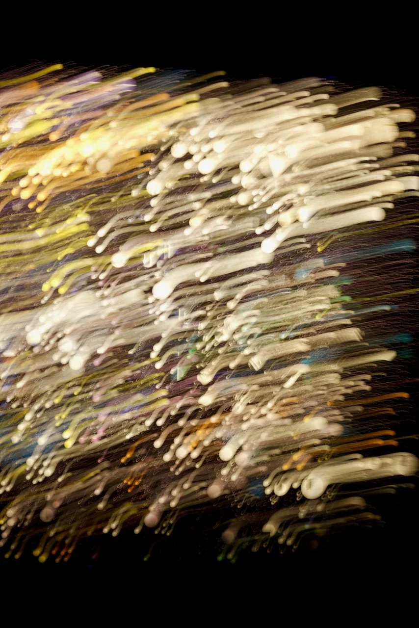  Movement 2024:231 (2024) C-print on wood panel, 60"x40" 