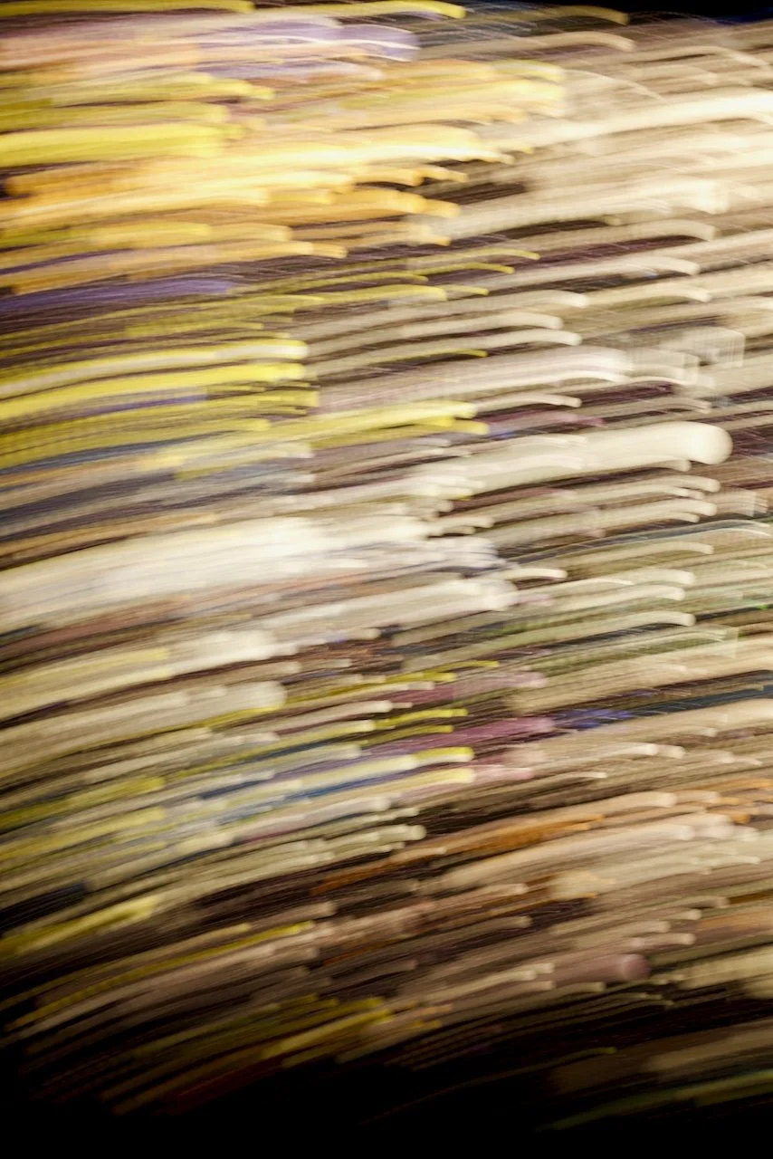  Movement 2024:232 (2024) C-print on wood panel, 60"x40" 