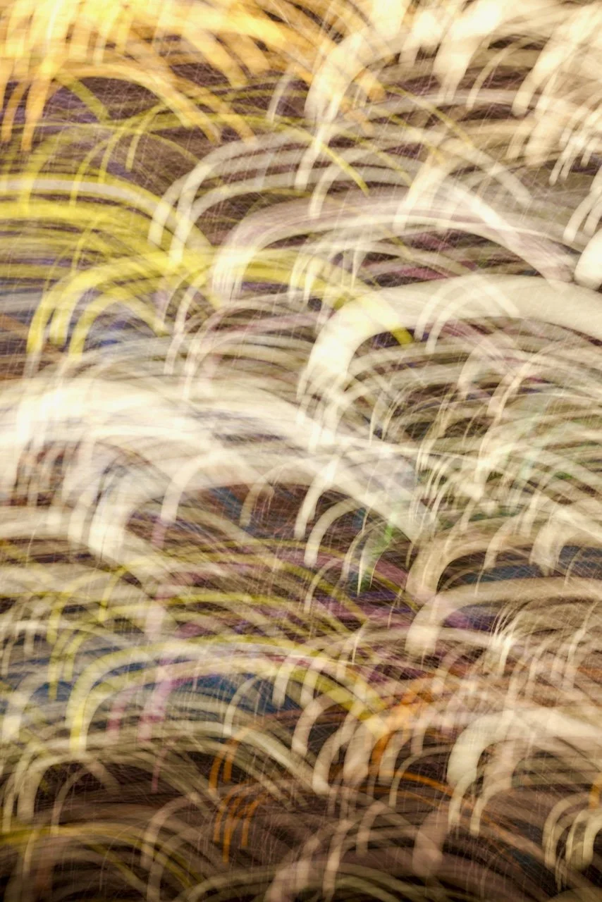  Movement 2024:233 (2024) C-print on wood panel, 60"x40" 