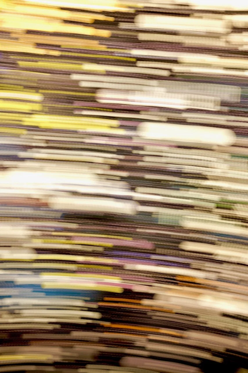  Movement 2024:237 (2024) C-print on wood panel, 60"x40" 