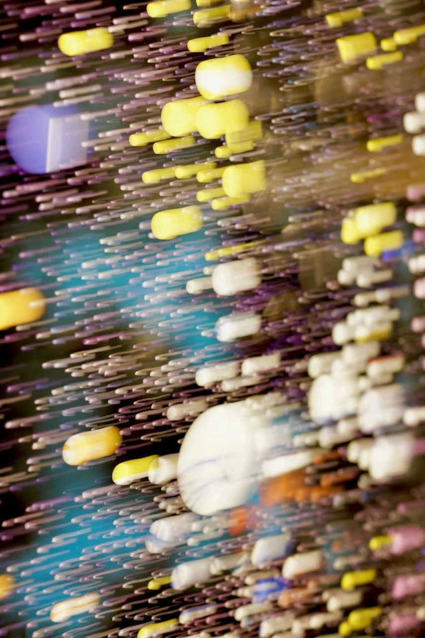  Movement 2024:238 (2024) C-print on wood panel, 60"x40" 