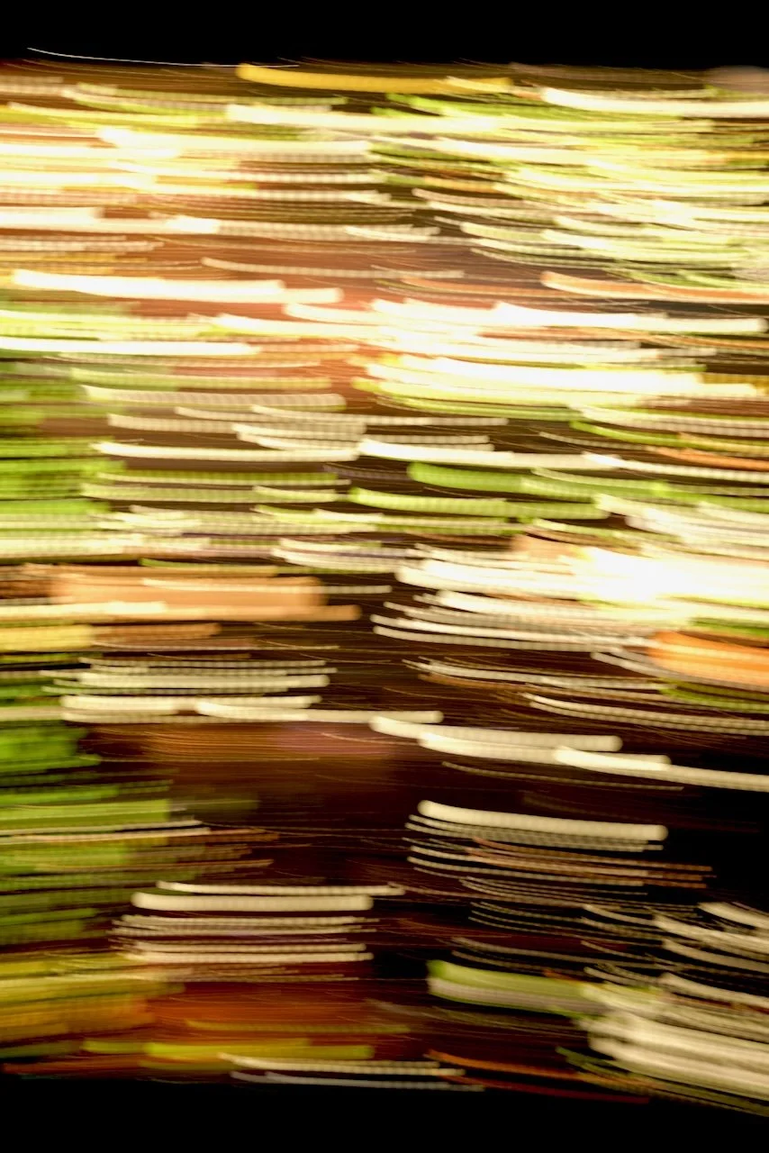  Movement 2024:240 (2024) C-print on wood panel, 60"x40" 