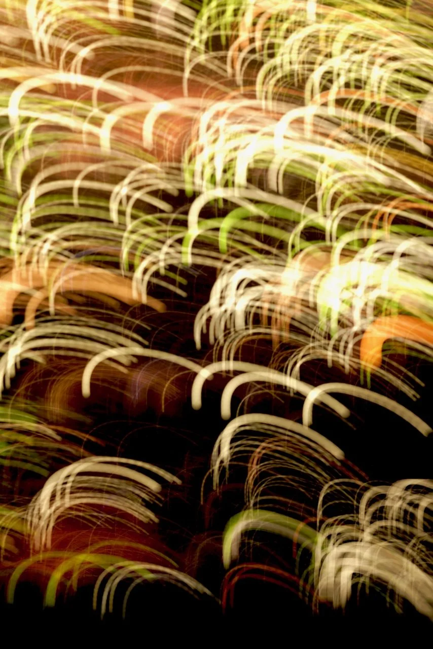  Movement 2024:241 (2024) C-print on wood panel, 60"x40" 