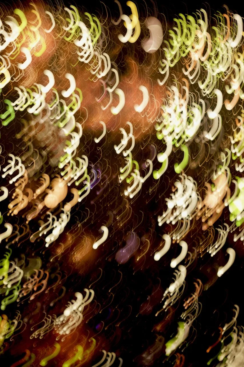  Movement 2024:243 (2024) C-print on wood panel, 60"x40" 