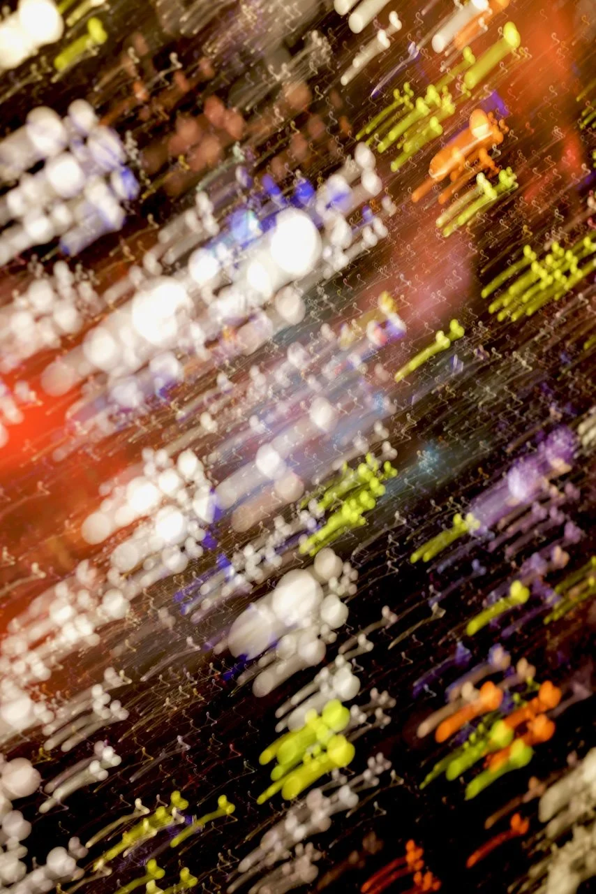  Movement 2024:247 (2024) C-print on wood panel, 60"x40" 