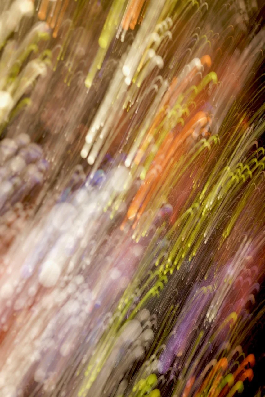  Movement 2024:250 (2024) C-print on wood panel, 60"x40" 