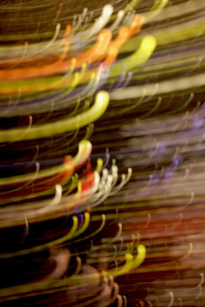  Movement 2024:252 (2024) C-print on wood panel, 60"x40" 