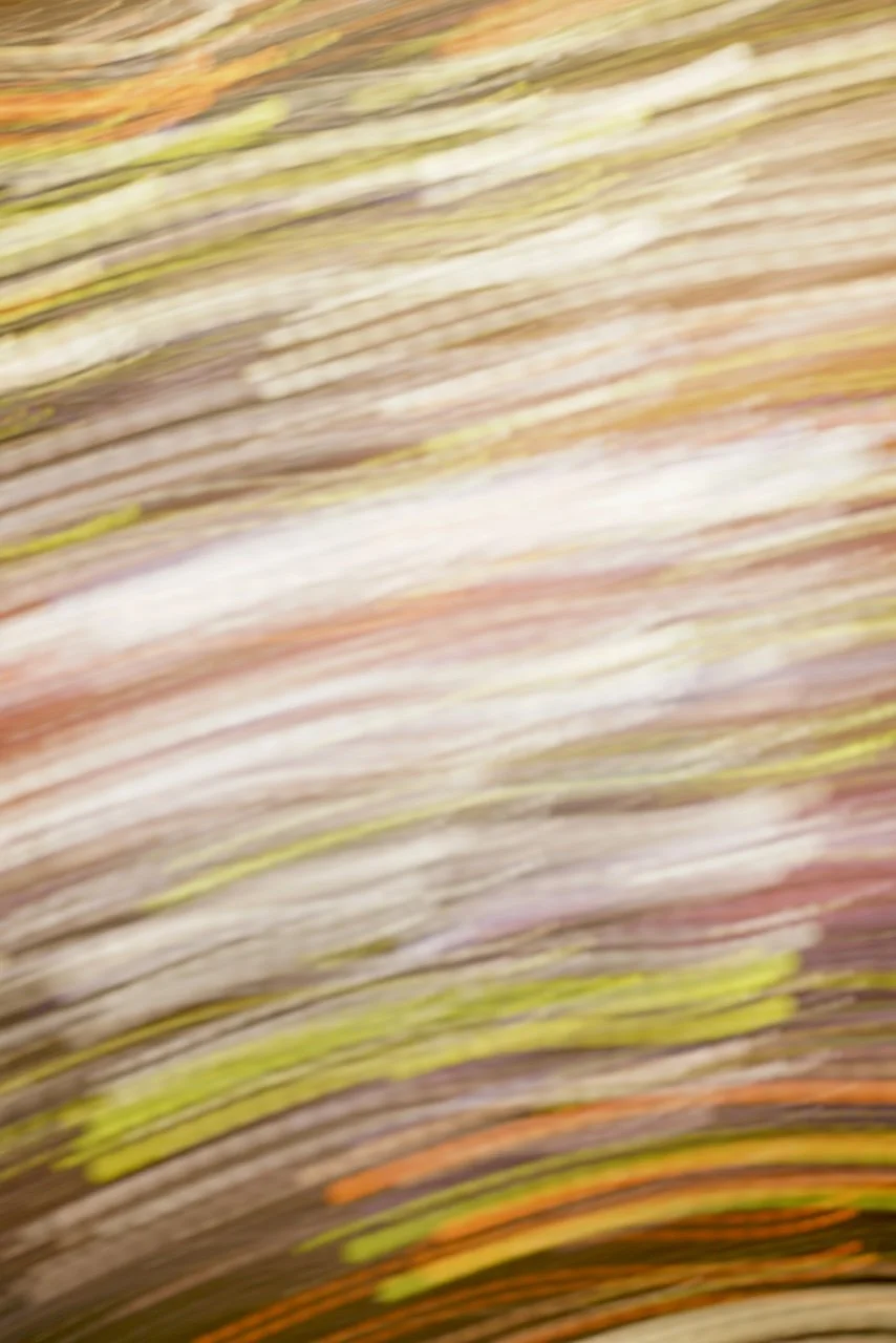  Movement 2024:255 (2024) C-print on wood panel, 60"x40" 